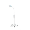 GS-300 GEN EXAM LT W/MOBILE STD DOM